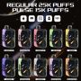15000 puffs disposable pod Dual Mesh coil curve screen vape